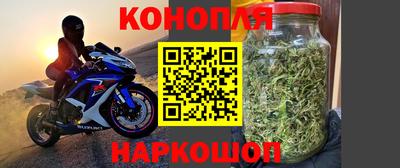 прущие крисы Тверь