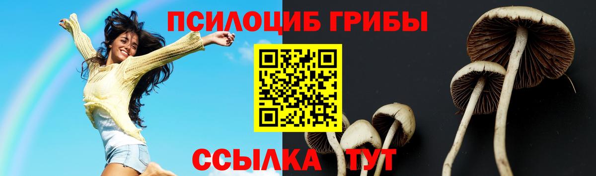 Псилоцибиновые грибы MAGIC MUSHROOMS Москва